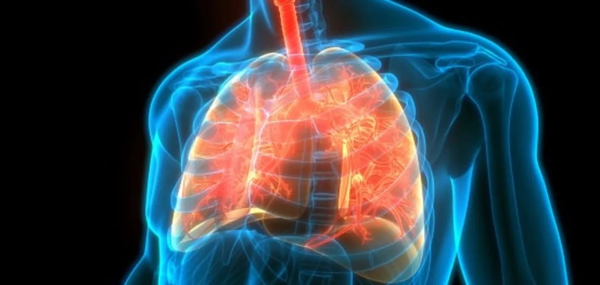 Hospice Care Admission Guidelines for Pulmonary Disease in Mesa Arizona
