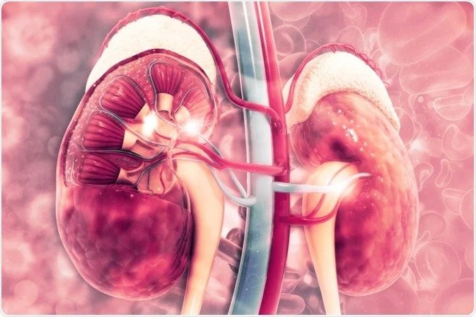 comparative data for renal disease patients and hospice care options in mesa arizona