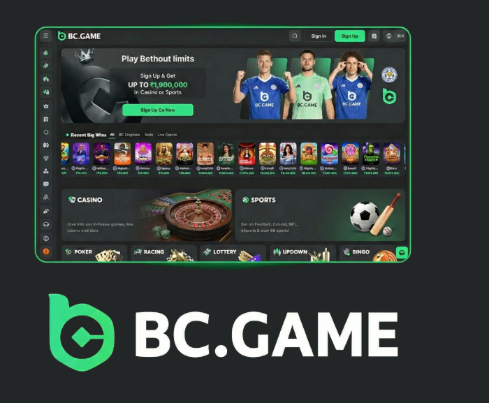 Understanding BC.Game Mirrors Safety and Access